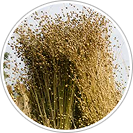 materias-prima-colchoes-biflex